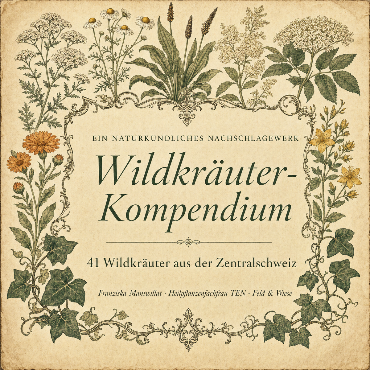 Wildkräuter-Kompendium – 41 Wildkräuter aus der Zentralschweiz