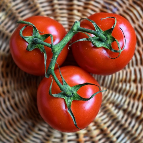 Tomaten Pesto trocken